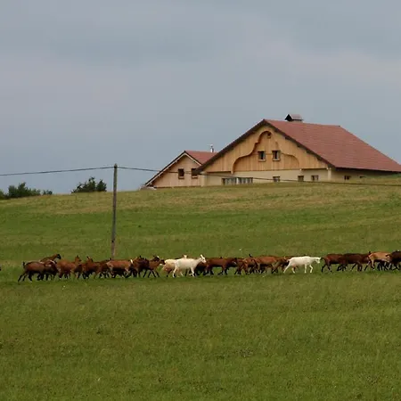 Ferme-auberge Du Rondeau